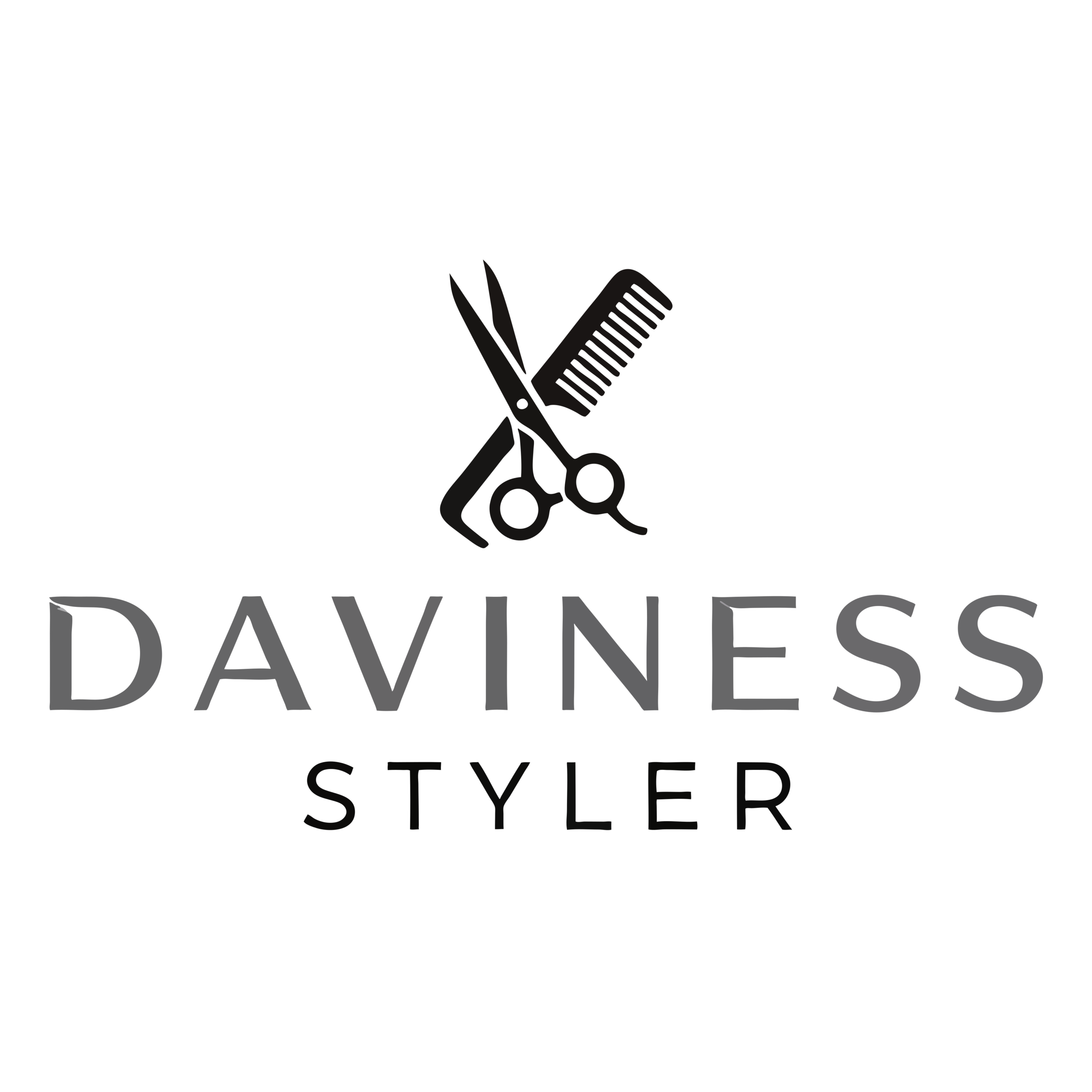davinessstyler.store